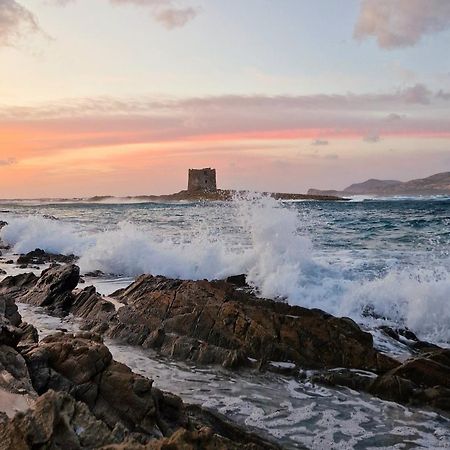 309 Le Saline - Stintino Βίλα Εξωτερικό φωτογραφία